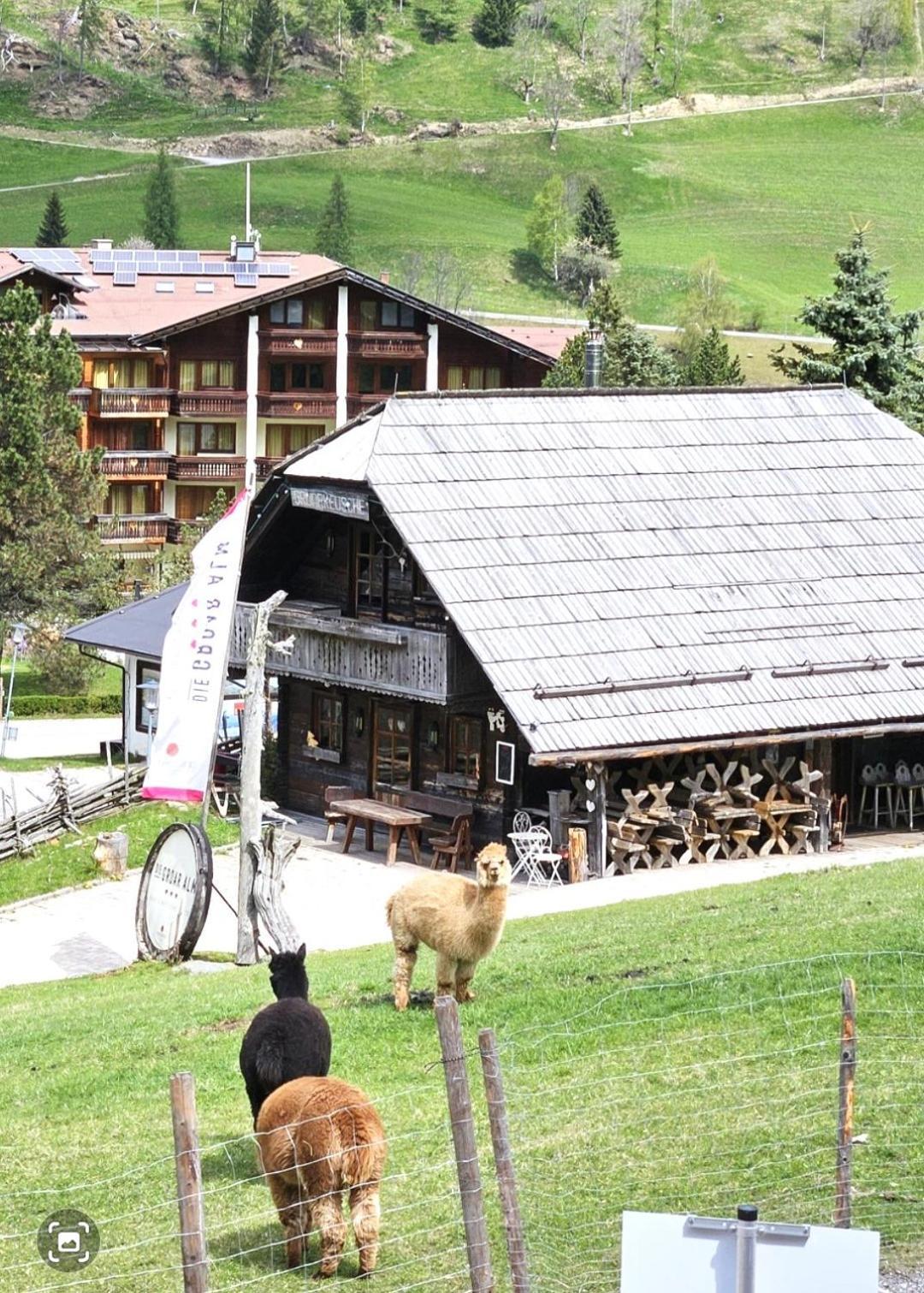 Mai-Brunn Alm Appartements, Maibrunnenweg 38 Bad Kleinkirchheim Exterior foto